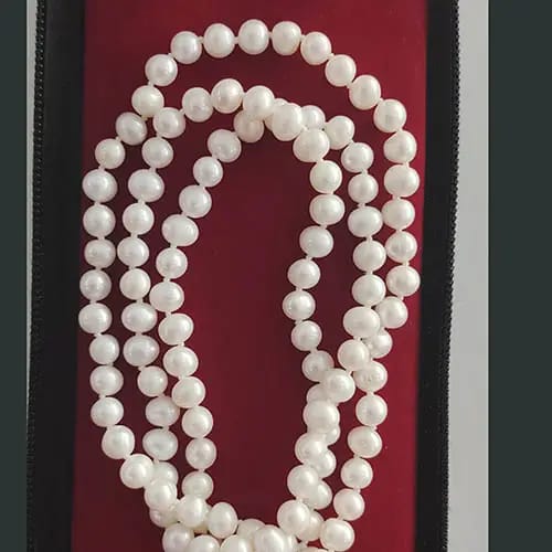 WhatsApp Image 2025-10-15 at 15.54.28_8373d440