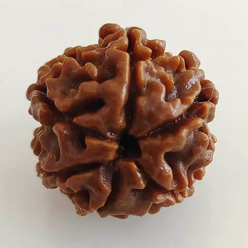 WhatsApp Image 2025-10-15 at 15.54.29_52b8f0ab