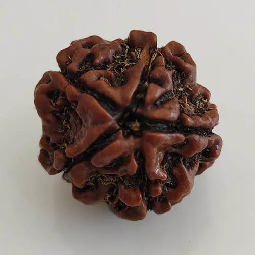 WhatsApp Image 2025-10-15 at 15.54.30_7ad39bca