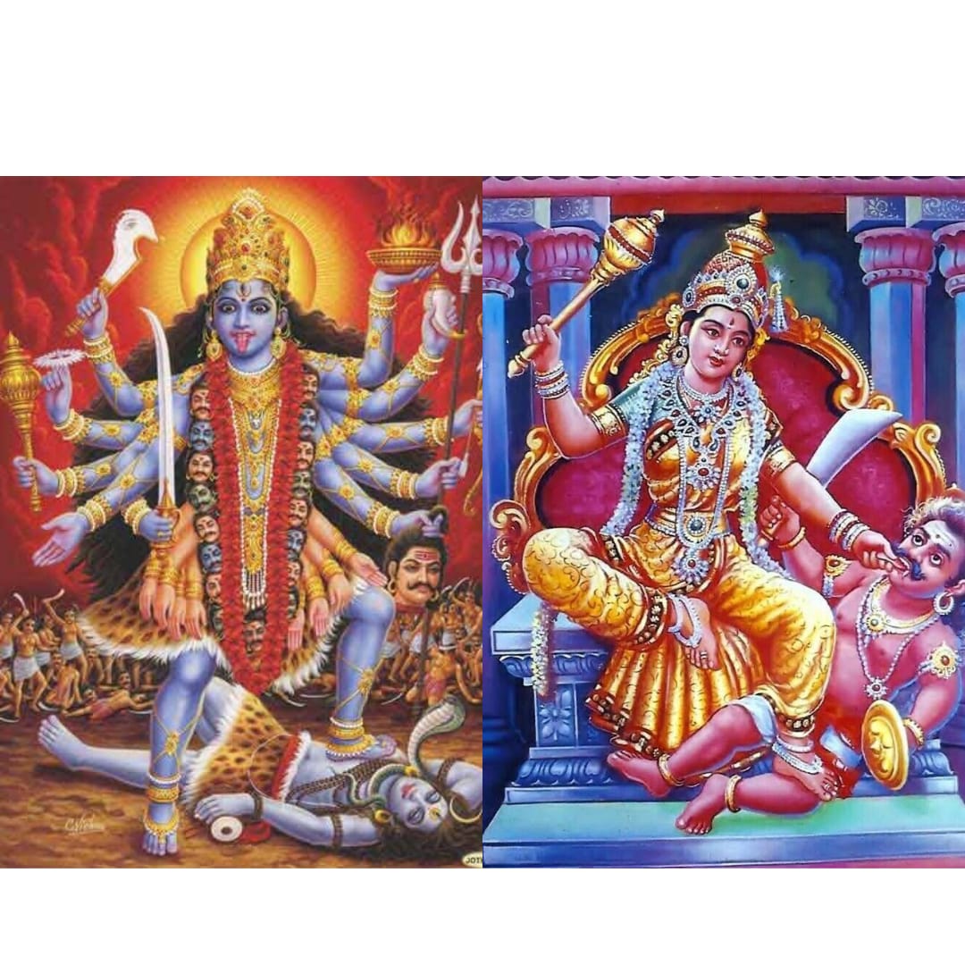 WhatsApp Image 2025-10-16 at 17.37.44_5a3bcde4