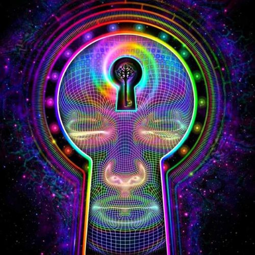 WhatsApp Image 2025-10-16 at 17.37.48_38974f16